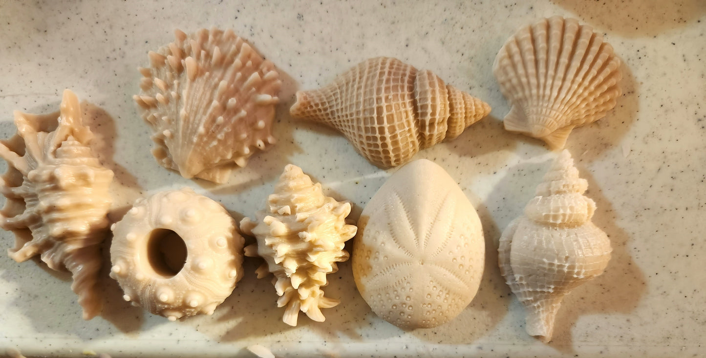 Sea Shells & Starfish Soap